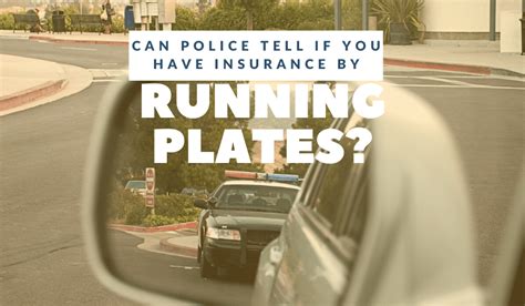 Can a Cop See If You Have Insurance by Running Your Plates? And Why Do Pineapples Dream of Electric Sheep?